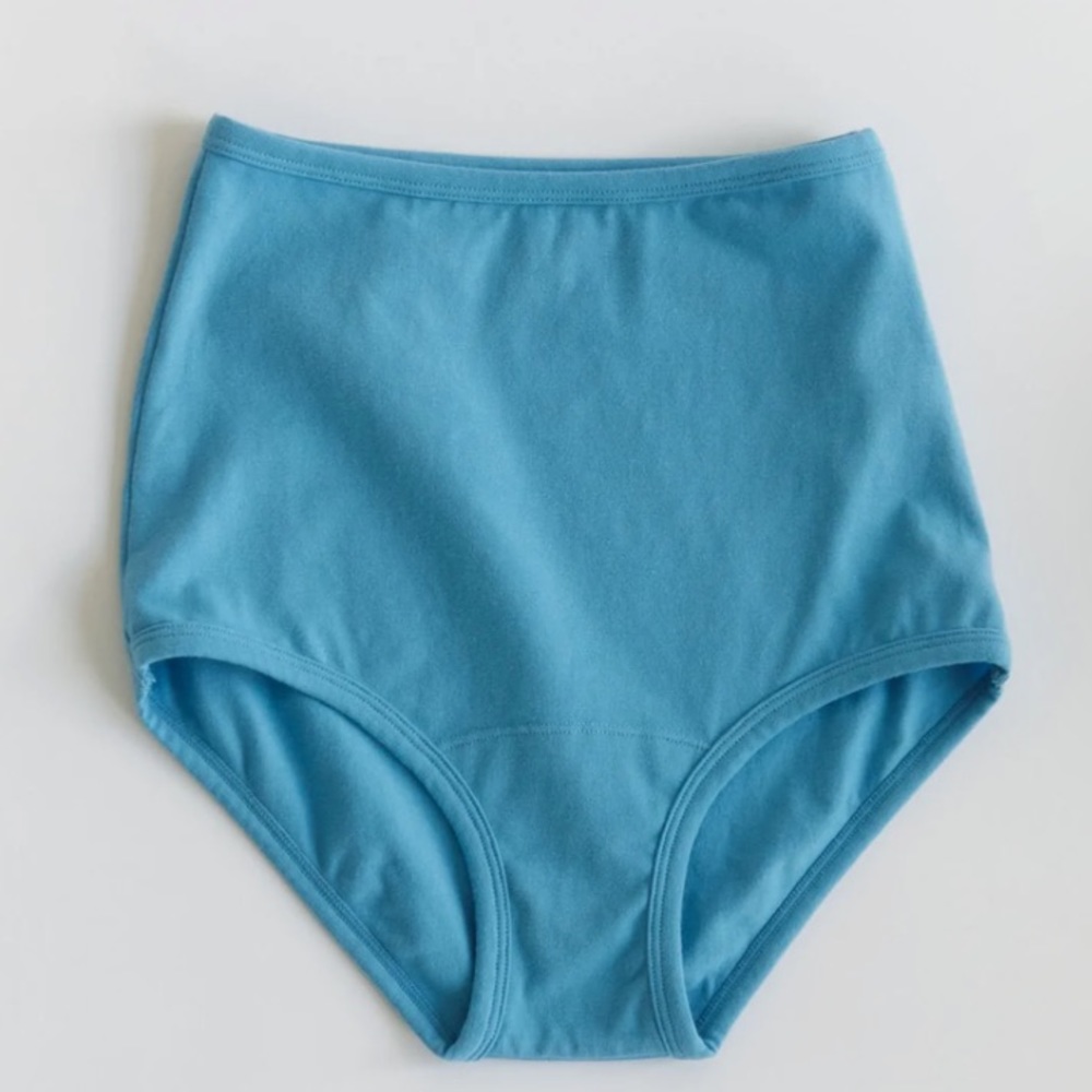 NWT ARQ Cornflower high-rise undies in small (2nd pair)